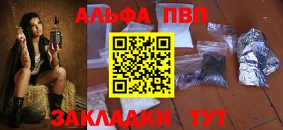 тгк Бийск
