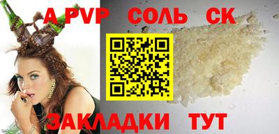 тгк Бийск