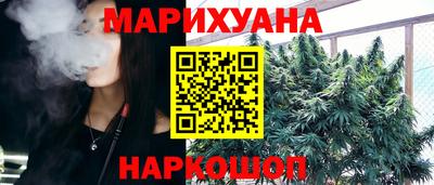 тгк Бийск