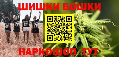 тгк Бийск